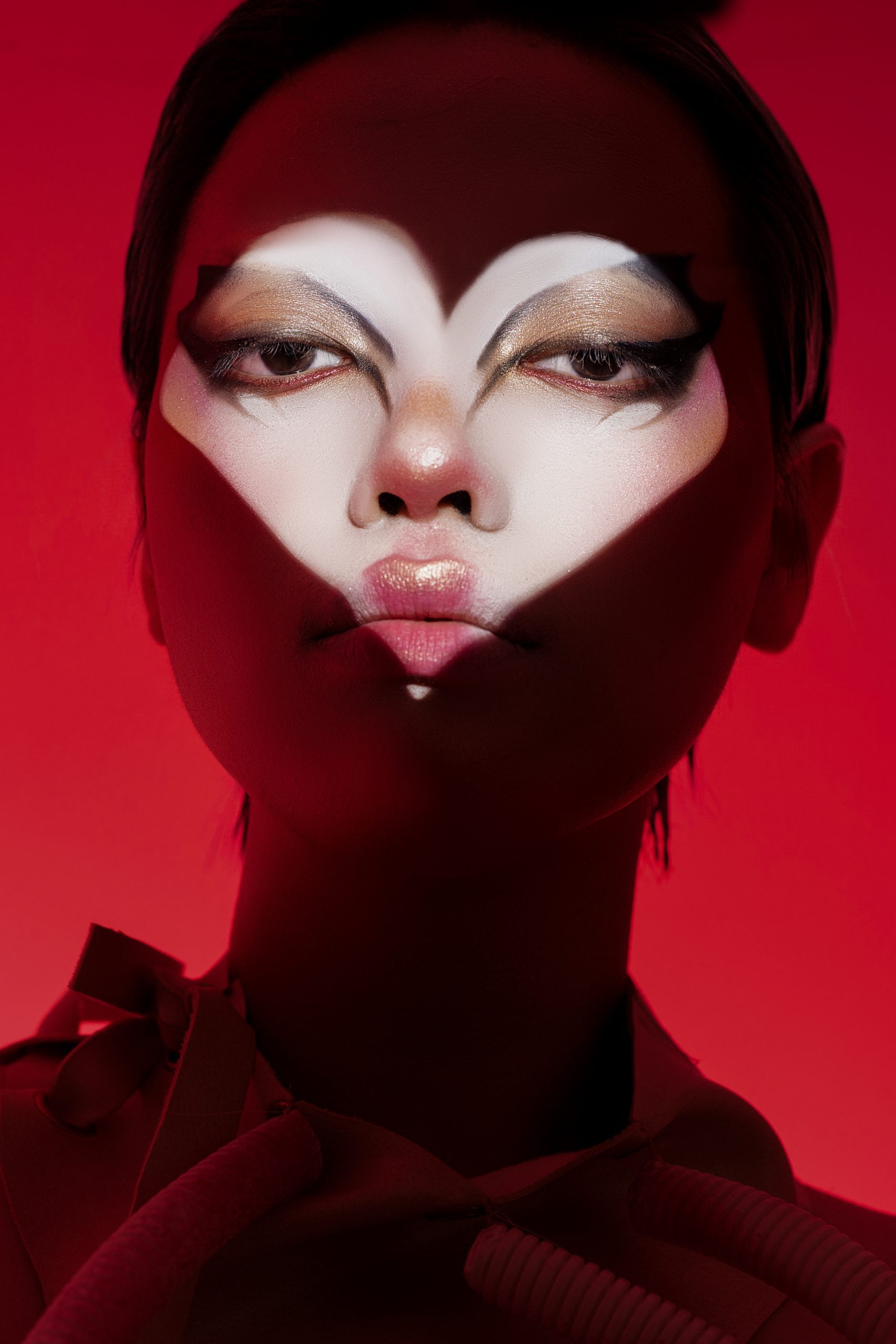 Chụp mẫu nghệ thuật 1